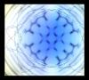 Circlezx