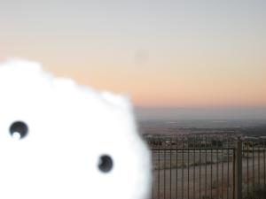 <img300*0:stuff/Cloesup%20of%20Bob.jpg>