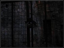 <img0*200:stuff/Close%20cage%201.jpg>