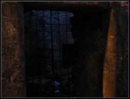 <img0*200:stuff/Close%20cage%202.jpg>