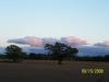 <img100*0:stuff/Clouds_and_trees.jpg>