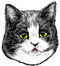 <img:stuff/Concerned-worried.png>