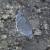 <img50*50:stuff/ConcreteButterfly.jpg>