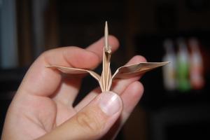<img300*200:stuff/Crane_step_eight%3a.jpg>