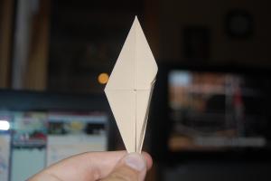 <img300*200:stuff/Crane_step_five%3a.jpg>
