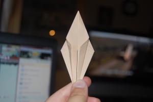<img300*200:stuff/Crane_step_four%3a.jpg>