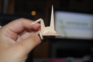 <img300*200:stuff/Crane_step_nine%3a.jpg>