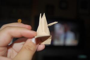<img300*200:stuff/Crane_step_seven%3a.jpg>