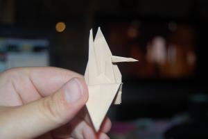 <img300*200:stuff/Crane_step_seven.jpg>