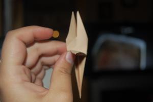 <img300*200:stuff/Crane_step_six%3a.jpg>
