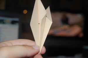 <img300*200:stuff/Crane_step_three%3a.jpg>