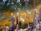 <img0*100:stuff/Creek.jpg>