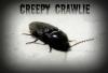 <img100*0:stuff/CreepyCrawlie.jpg>