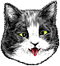 <img:stuff/Cross-eyed_wstuck_out_tongue.png>