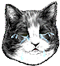 <img:stuff/Crying.png>