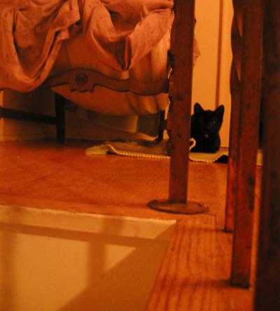<img400*0:stuff/C~C%20landing%201a.jpg>
