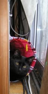 <img0*300:stuff/C~C%27s%20gift%204.jpg>