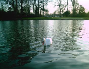 <img350*270:stuff/D%3ADenisaImagesphotos%20naturePICT5151.JPG>