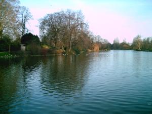 <img300*0:http://elftown.heddate.com/stuff/D%3ADenisaImagesphotos%20naturePICT5165.JPG>
