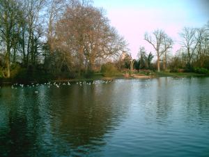 <img300*0:http://elftown.heddate.com/stuff/D%3ADenisaImagesphotos%20naturePICT5167.JPG>
