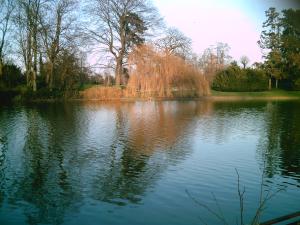 <img300*0:http://elftown.heddate.com/stuff/D%3ADenisaImagesphotos%20naturePICT5168.JPG>