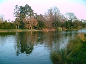 <img300*0:http://elftown.heddate.com/stuff/D%3ADenisaImagesphotos%20naturePICT5169.JPG>