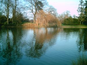 <img300*0:http://elftown.heddate.com/stuff/D%3ADenisaImagesphotos%20naturePICT5170.JPG>