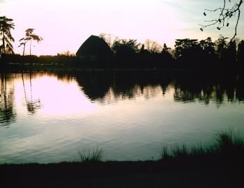 <img350*270:stuff/D%3ADenisaImagesphotos%20naturePICT5191.JPG>