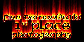 <img:http://elftown.heddate.com/stuff/D%3AJessica%20DataMy%20DocumentsJessicaMy%20ArtworkCommissionfiredemon_ph1.jpg>