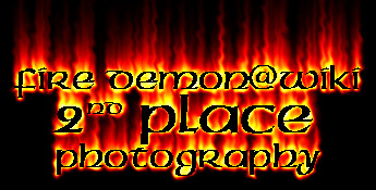 <img:http://elftown.heddate.com/stuff/D%3AJessica%20DataMy%20DocumentsJessicaMy%20ArtworkCommissionfiredemon_ph2.jpg>