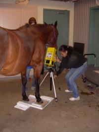 <img200*0:stuff/DSCN0005.JPG>
