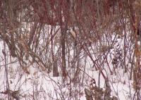 <img200*0:stuff/DSCN0064.JPG>