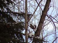 <img200*0:stuff/DSCN0075.JPG>