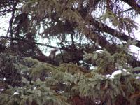 <img200*0:stuff/DSCN0076.JPG>