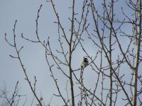 <img200*0:stuff/DSCN0086.JPG>