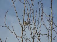 <img200*0:stuff/DSCN0088.JPG>