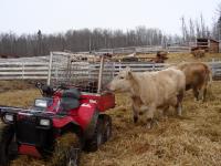 <img200*0:stuff/DSCN0109.JPG>