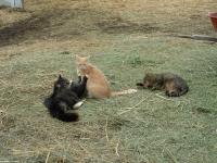 <img200*0:stuff/DSCN0116.JPG>