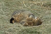 <img200*0:stuff/DSCN0124.JPG>
