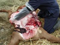 <img200*0:stuff/DSCN0126.JPG>