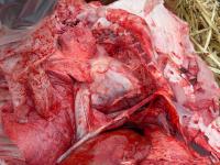 <img200*0:stuff/DSCN0128.JPG>