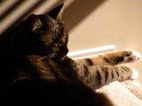 <img200*0:stuff/DSCN0229.JPG>