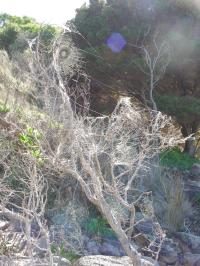 <img200*0:stuff/DSCN0264rsz.JPG>