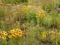 <img200*0:stuff/DSCN0359.JPG>