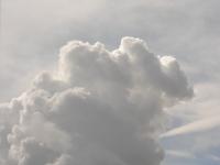 <img200*0:stuff/DSCN0361.JPG>