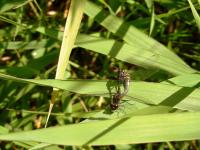 <img200*0:stuff/DSCN0371.JPG>