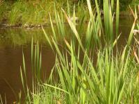 <img200*0:stuff/DSCN0389.JPG>