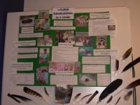 <img200*0:stuff/DSCN0498.JPG>