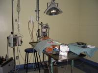 <img200*0:stuff/DSCN0504.JPG>