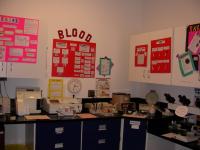 <img200*0:stuff/DSCN0506.JPG>